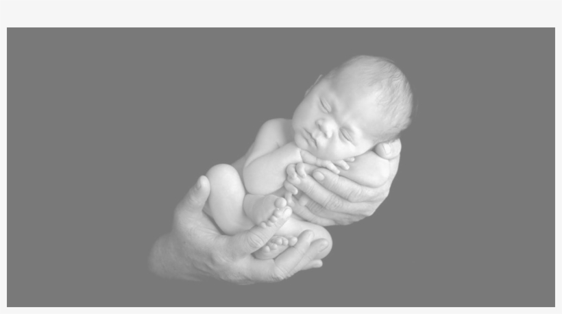 Baby In Hands2000 - Baby, transparent png