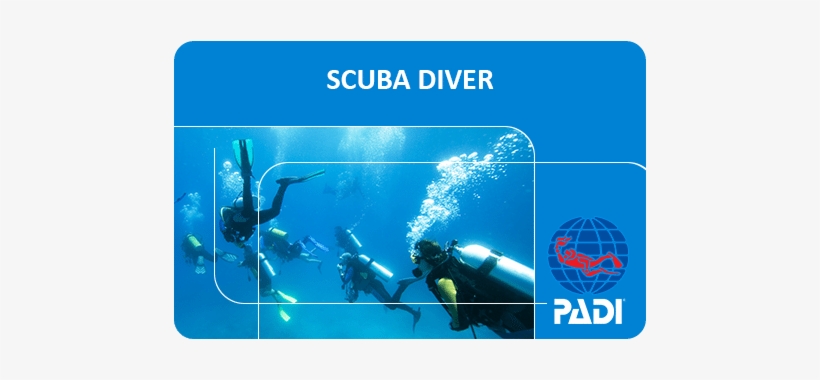 Air Fare, If Any - Padi Open Water Diver Card, transparent png