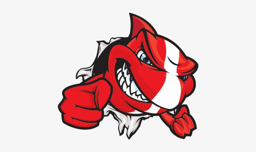 Printed Vinyl Shark Scuba Flag Stickers Factory - Sticker Shark, transparent png