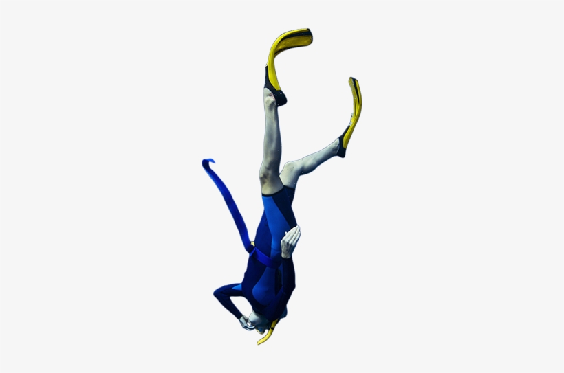 Website, transparent png