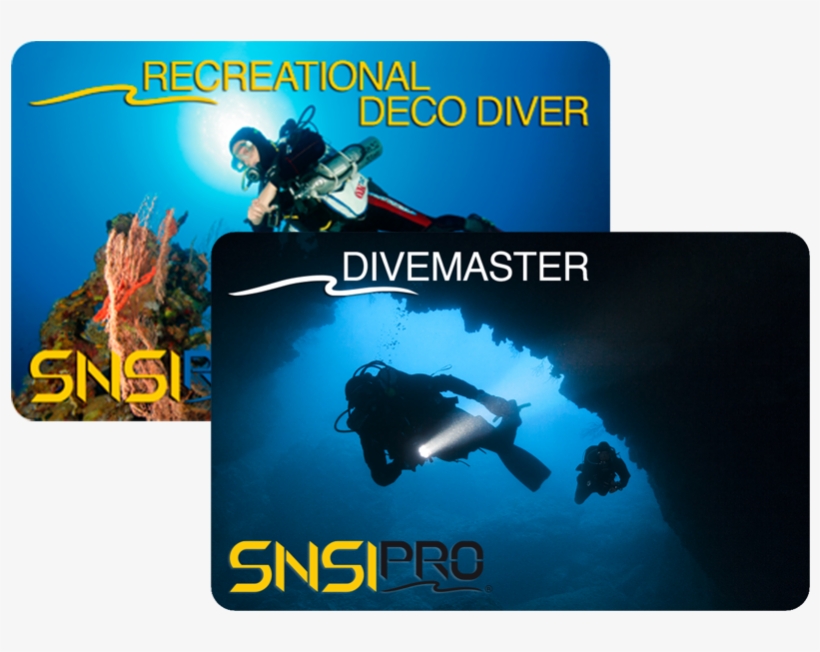 You Can Advance Your Training And Become Qualified - Divemaster, transparent png