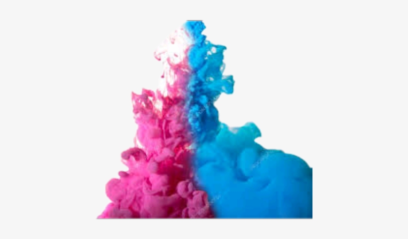 Stock Photography, transparent png