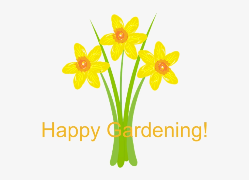 Watercolor Daffodils Gardener 5'x7'area Rug - Birthday, transparent png