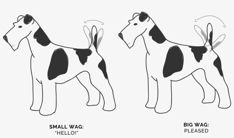 Wagging Tails Movement - Ancient Dog Breeds, transparent png