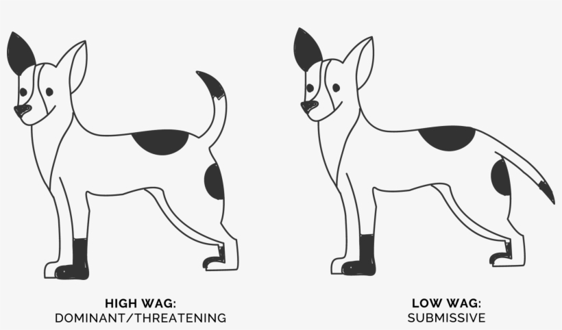 Wagging Tails Height - Miniature Fox Terrier, transparent png