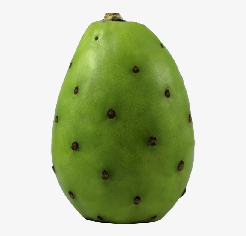 Barbary Fig, transparent png