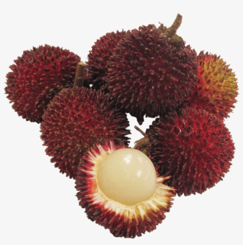 Frutas - Durian Rambutans, transparent png