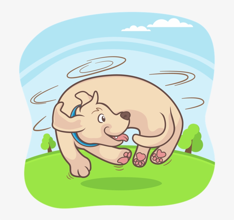 Dog In A Park Chasing Its Own Tail - Dog, transparent png