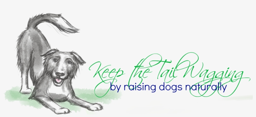 Keep The Tail Wagging By Raising Dogs Naturally - Fsss Ltd The Wanted Sp Music Lyrics Wall Quote 120x65cm, transparent png