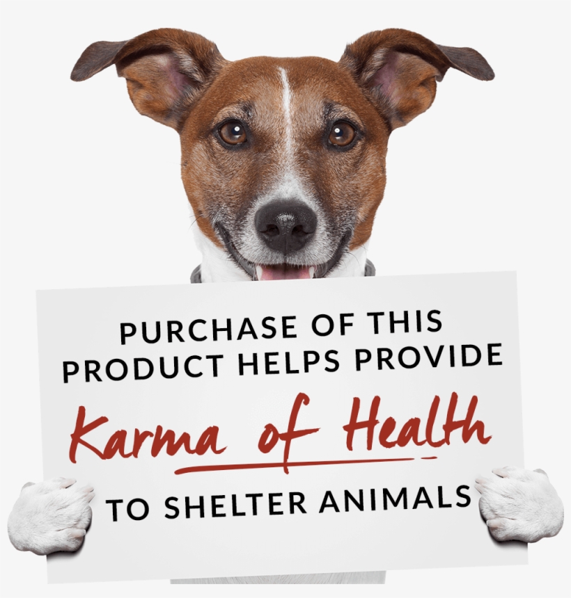 Your Dogs Are Growing And So Are Their Appetites This - Open Weekends, transparent png