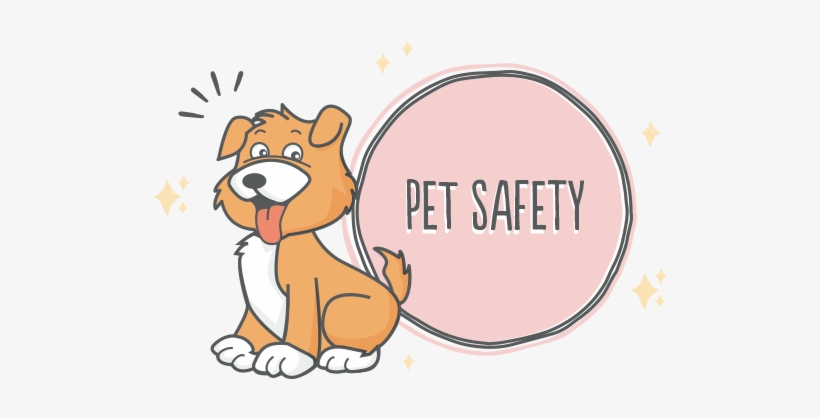 Dog Safety At Happy Tails - Dog, transparent png