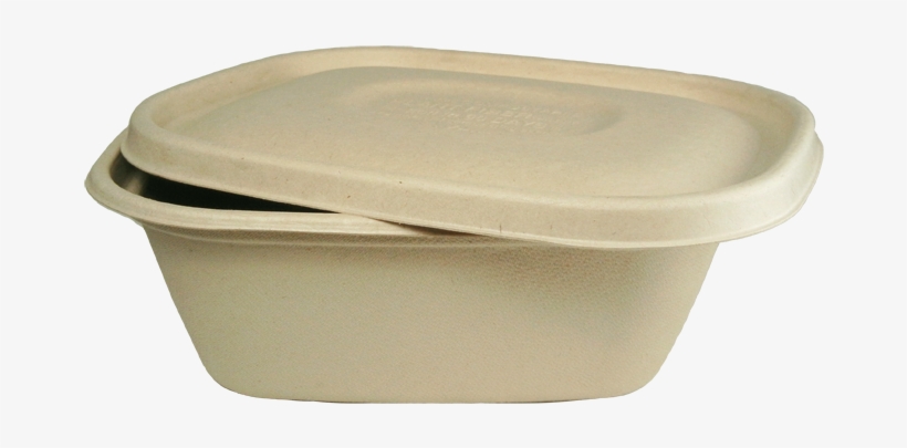 8" X - Compostable Salad Containers, transparent png