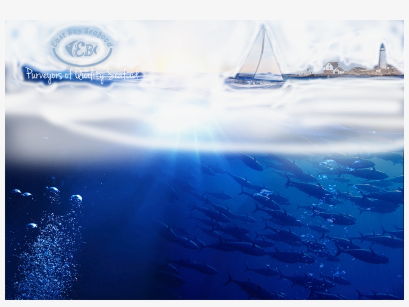 Swordfish, transparent png