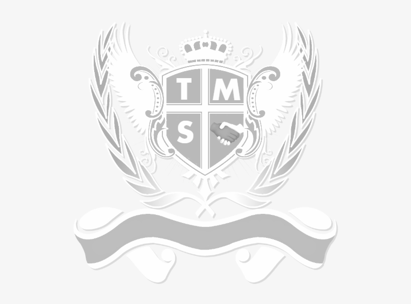 The Mogul Society - Meryl Streep, transparent png