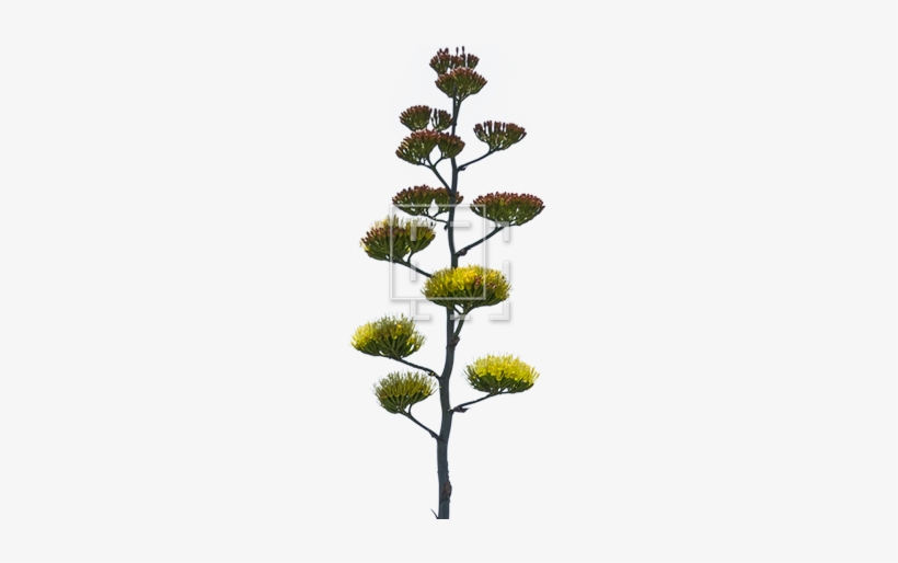 Skinny Tree Bright Colors - Tree, transparent png