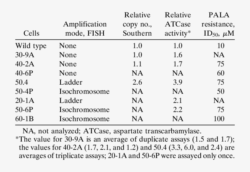 Cad Copy Number, Specific Aspartate Transcarbamylase, transparent png