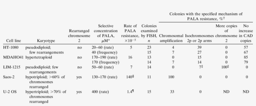 Analysis Of The Basis Of Pala Resistance In Human Cell, transparent png