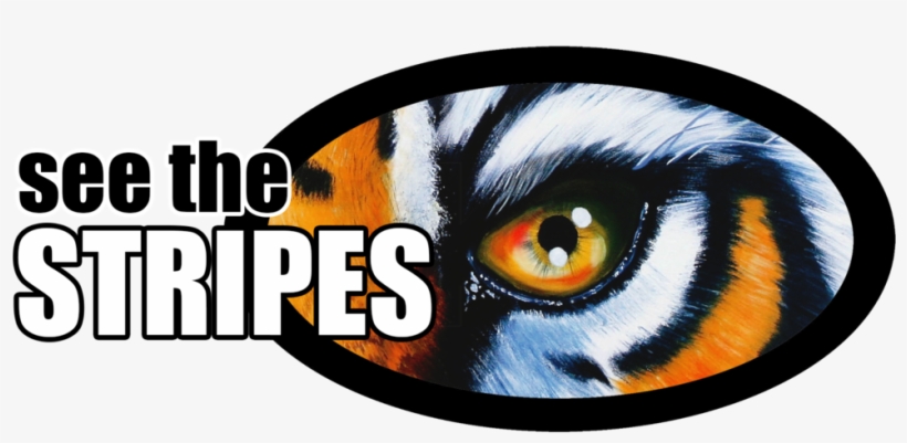 Within The General Student Population About Commonly - Lsu, transparent png