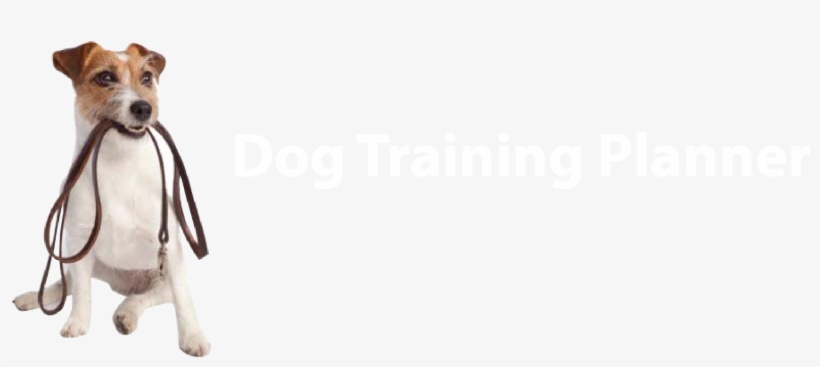 Dog Training Planner - Basic Dogs, transparent png