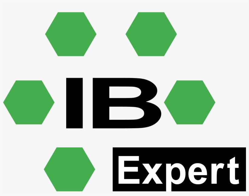 English-language Ibexpert Firebird Developer Week - Ham's Primary Care Geriatrics By Richard J. Ham, transparent png