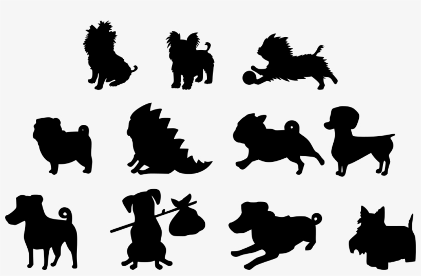 Download Png - Dog, transparent png