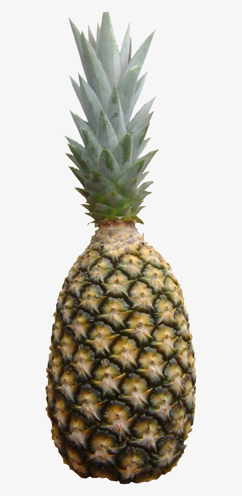 Abacaxi Perola Png - Pineapple, transparent png