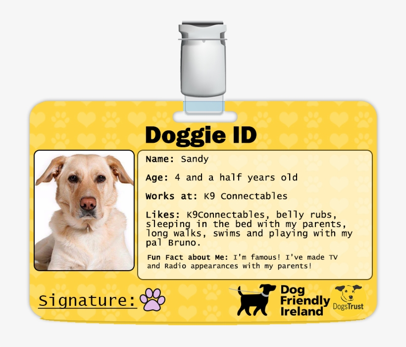 Hello, Lauren Mcilvenna Here, Proud Dog Mum To Sandy - Dogs Trust, transparent png