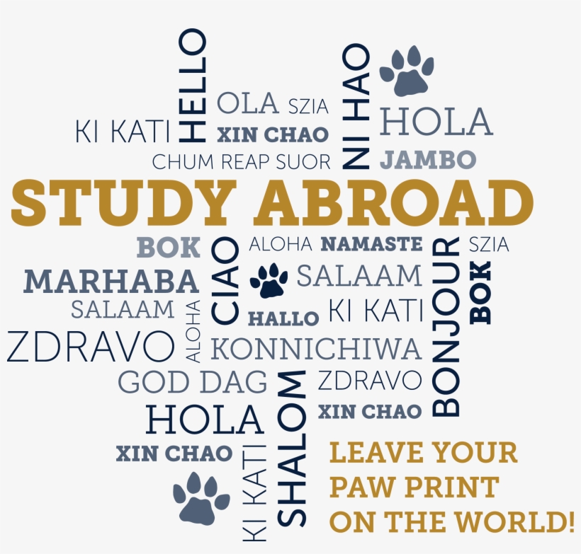 Our Office Of Study Abroad Is Here To Support You On - Fiu Study Abroad, transparent png