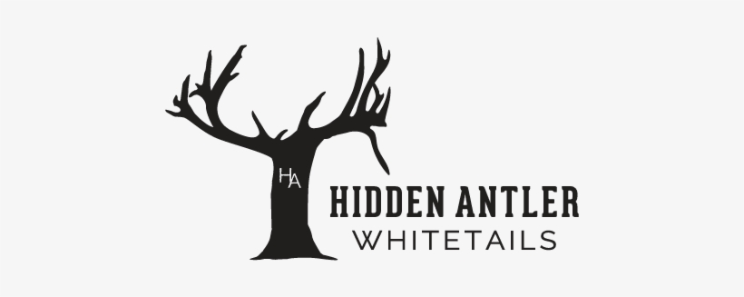 2018 Year Round Sponsors - Antler, transparent png