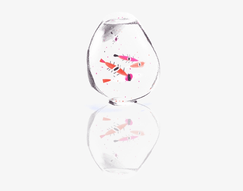 Insect, transparent png