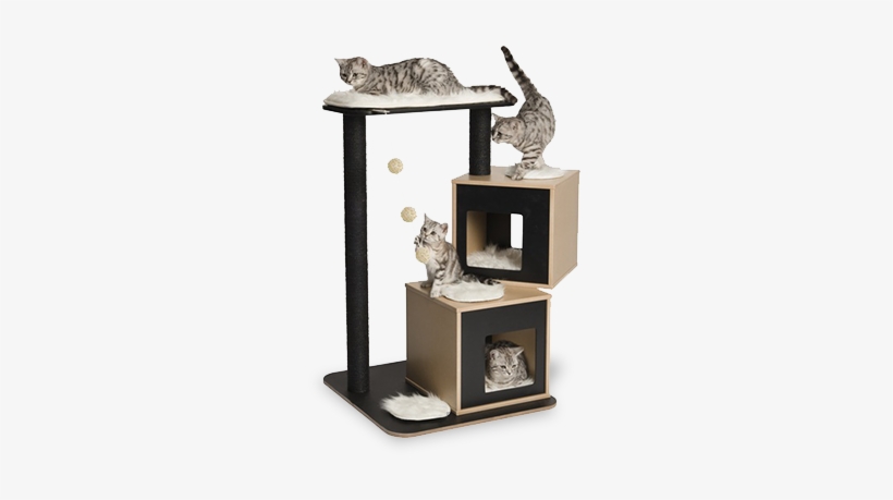 Vesper Cat Condo V-double, Black, transparent png