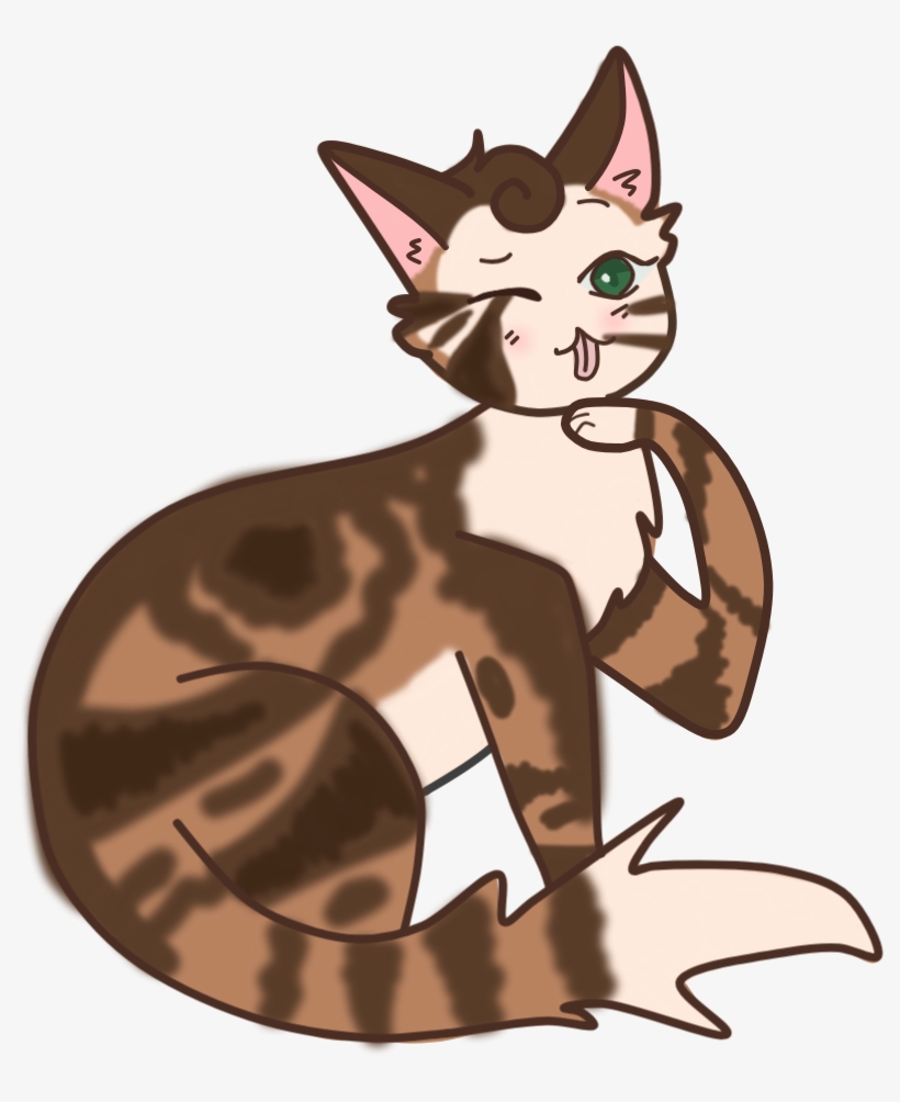 Magnoliaflower - Domestic Short-haired Cat, transparent png