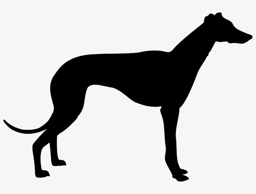 Greyhound Silhouette Clip Art - Greyhound Clipart, transparent png