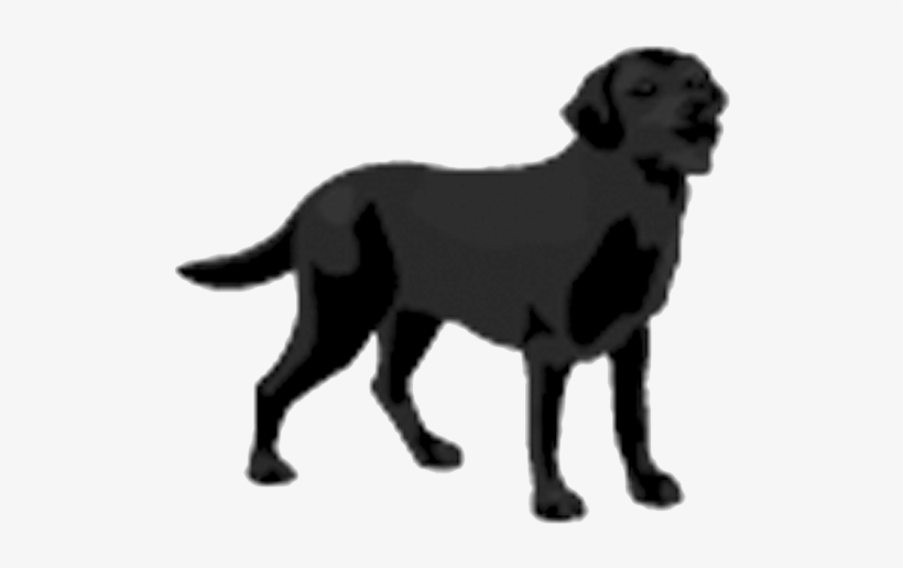 "the Need To Understand Your Options Has Never Been - Black Dog Drawing Transparent, transparent png