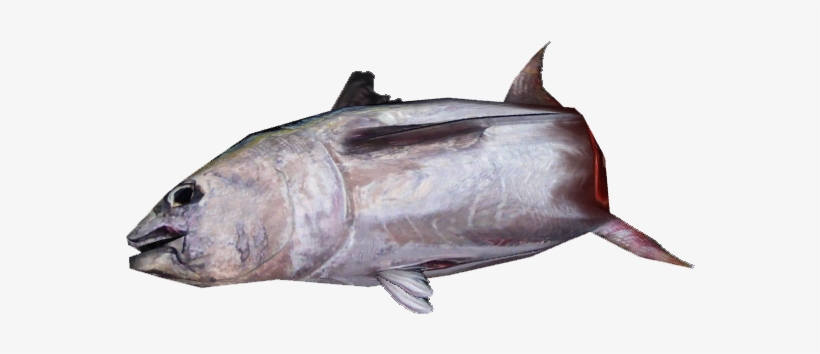 Whole Tuna 66 - Escolar, transparent png