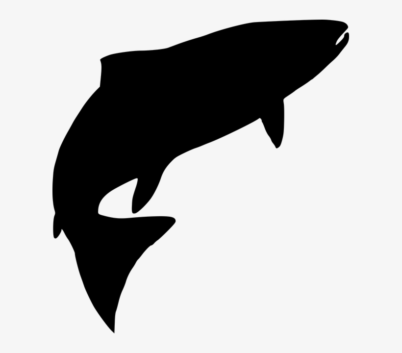 Silhouette Of Sea Creatures, transparent png