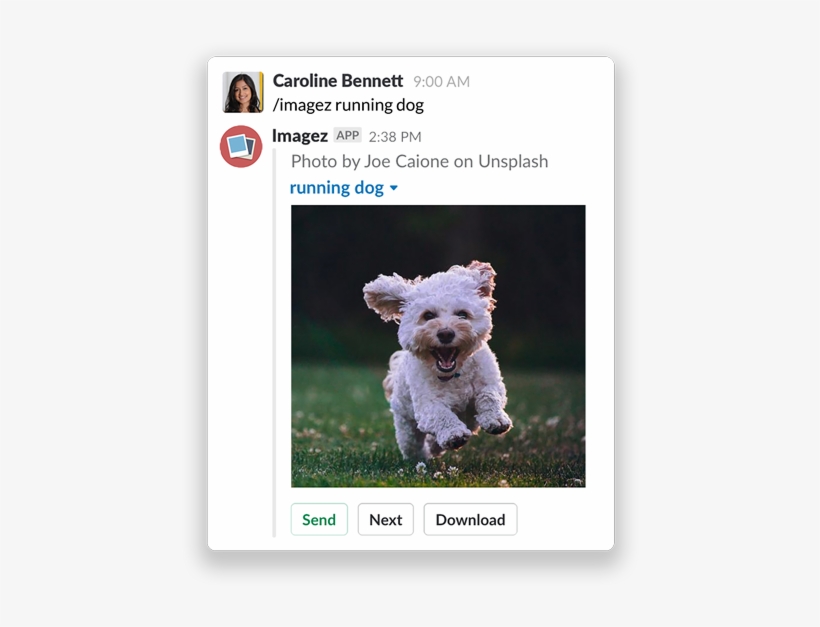 Dog, transparent png