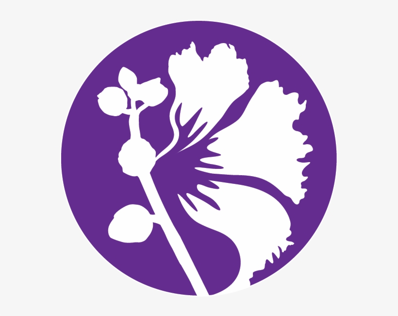 Logo, transparent png