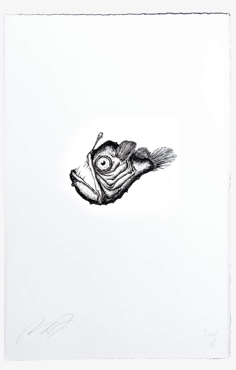 Sketch, transparent png