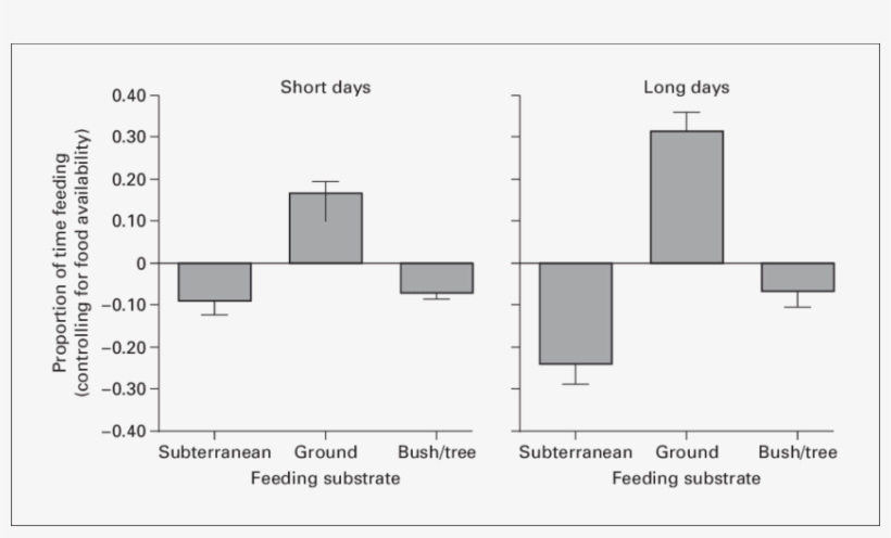 Residual Proportion Of Time Spent Foraging From The - Diagram, transparent png