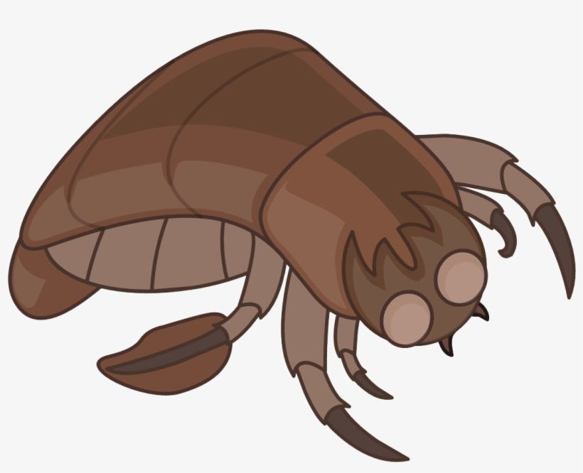 Official Poptropica On Twitter - Angler, transparent png