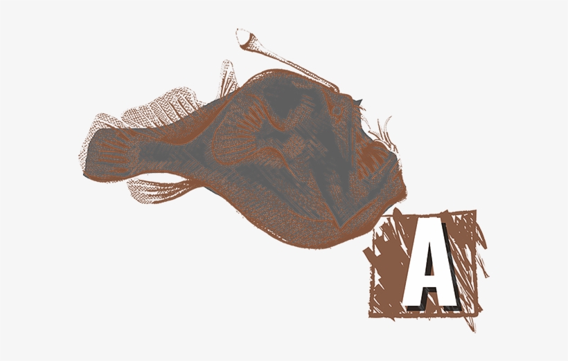 Anglerfish - Illustration, transparent png