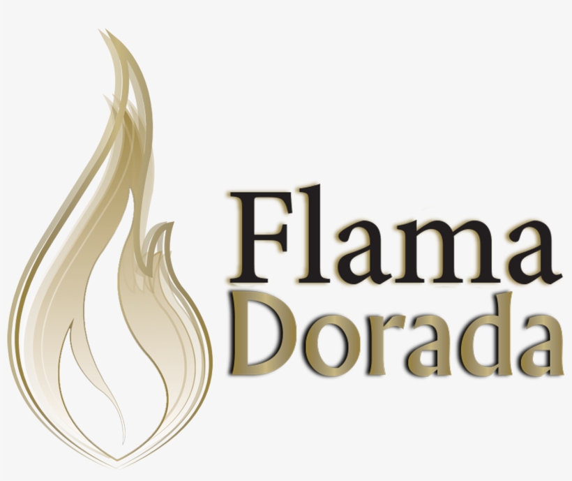 Flama Dorada - Flinders University Black Logo, transparent png