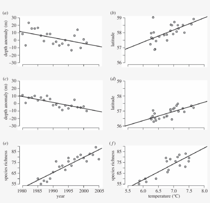 Change In Anglerfish Lophius Piscatorius Showing Greater - Anglerfish, transparent png