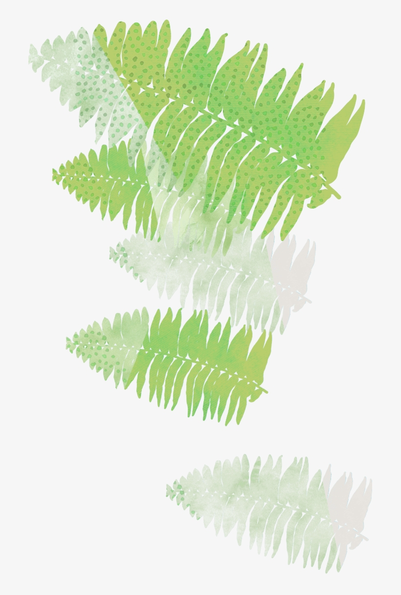 Leaf - Southeast Botanical Gardens, transparent png