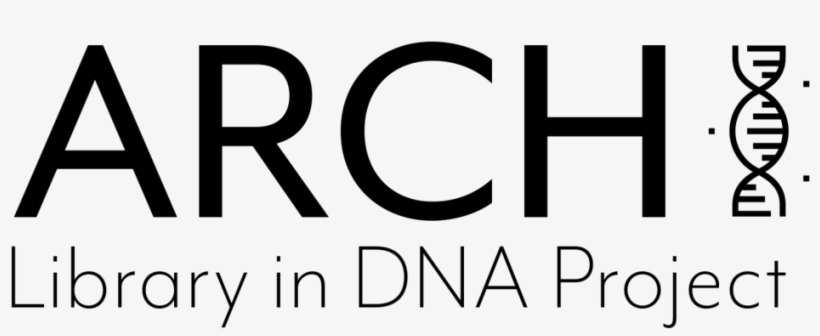 Arch Dna Transparent - Architect, transparent png