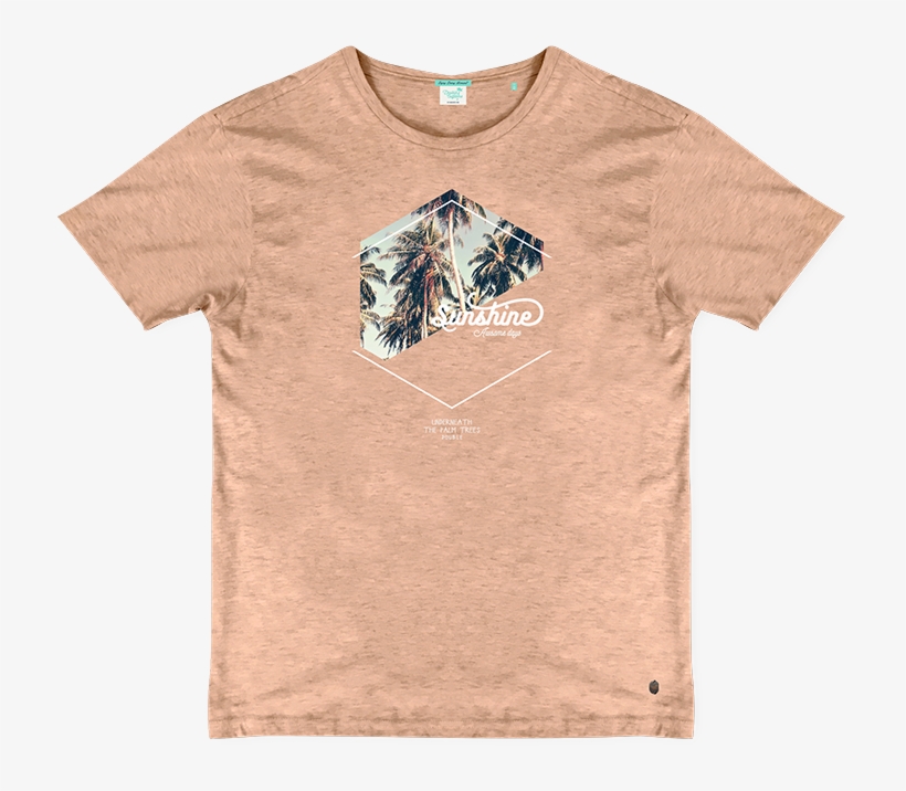 Insect, transparent png