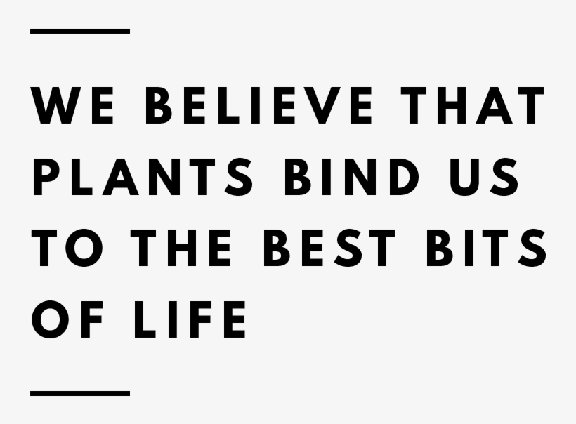 Botanical Folk What We Believe - Business Art Andy Warhol, transparent png