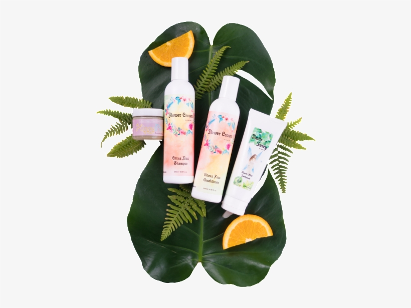 Citrus Kiss Botanical Box - Vasculum, transparent png