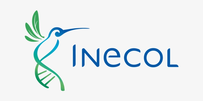 El Santuario Del Bosque De Niebla Forma Parte Del Área - Inecol, transparent png